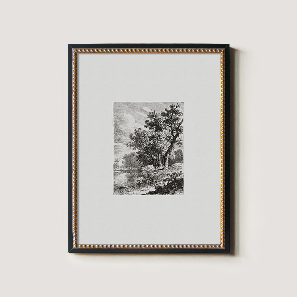 Misty Lakeside Thicket Etching Reverie