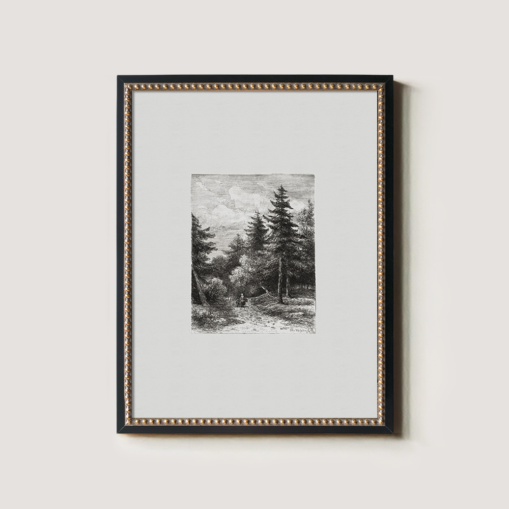 Enshrouded Pine Thicket Etching Reverie 1216-1620-1824