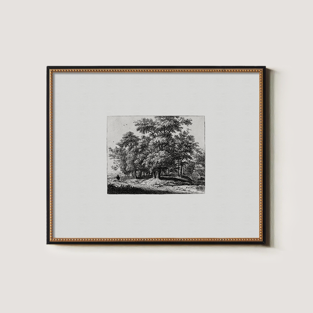 Whispered Grove Path Etching Nocturne