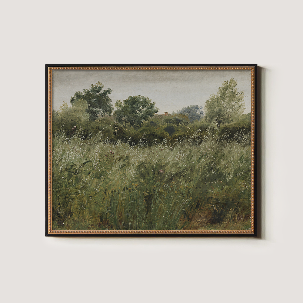 Hazy Meadow with Swaying Grasses and Graceful Trees