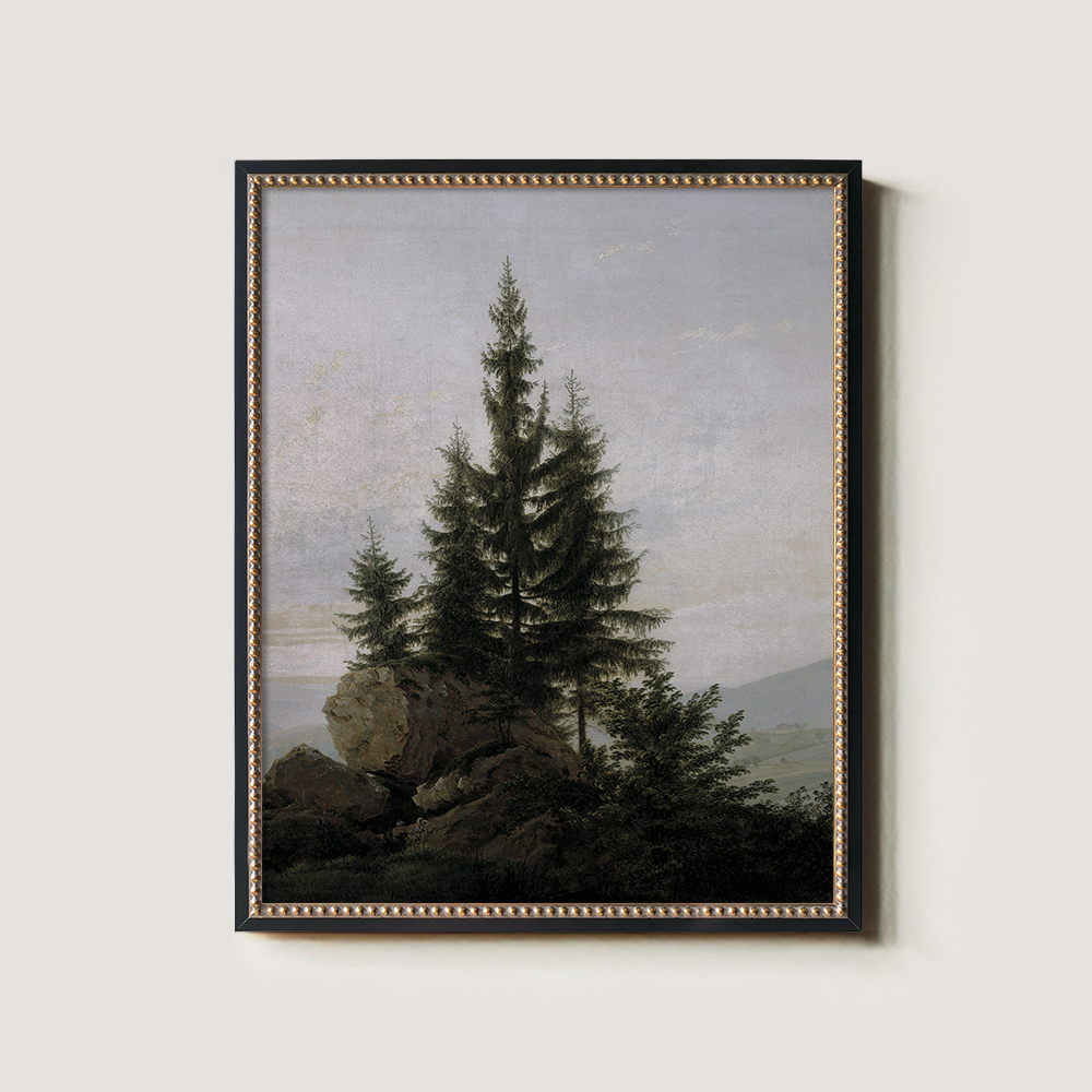 Evergreen Tree On A Rocky Shore 1216-1620-1824