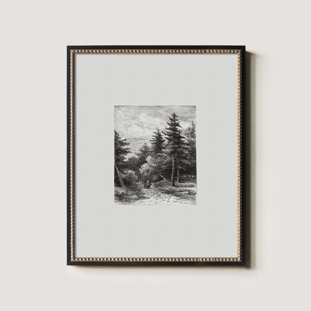 Enshrouded Pine Thicket Etching Reverie 1216-1620-1824