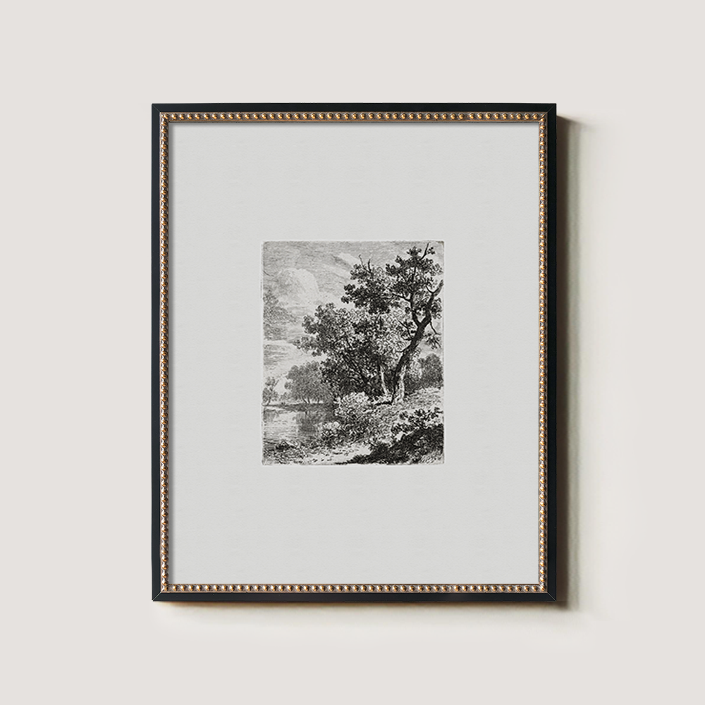 Misty Lakeside Thicket Etching Reverie