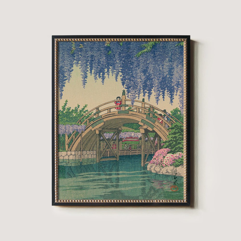 Wisteria Blossoms over Curved Drum Bridge