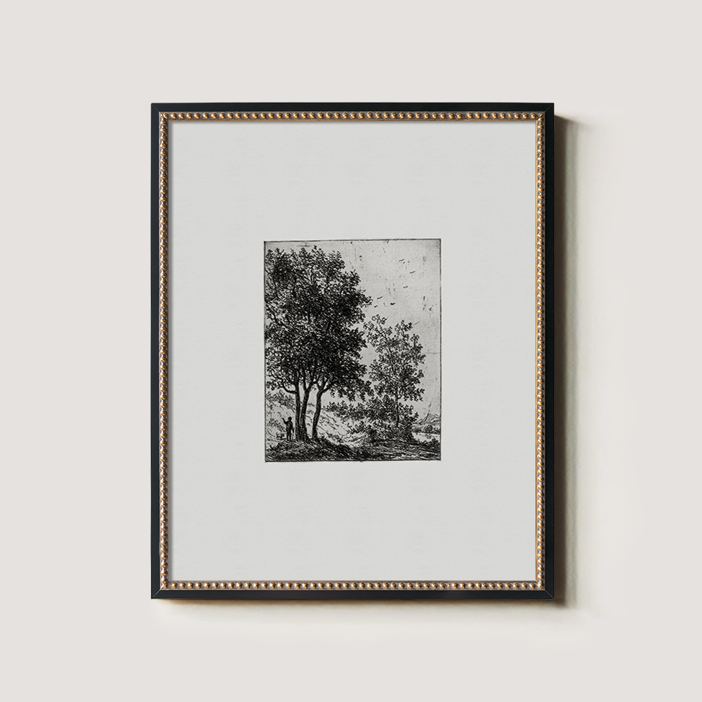 Verdant Tree Cluster Etching Reverie