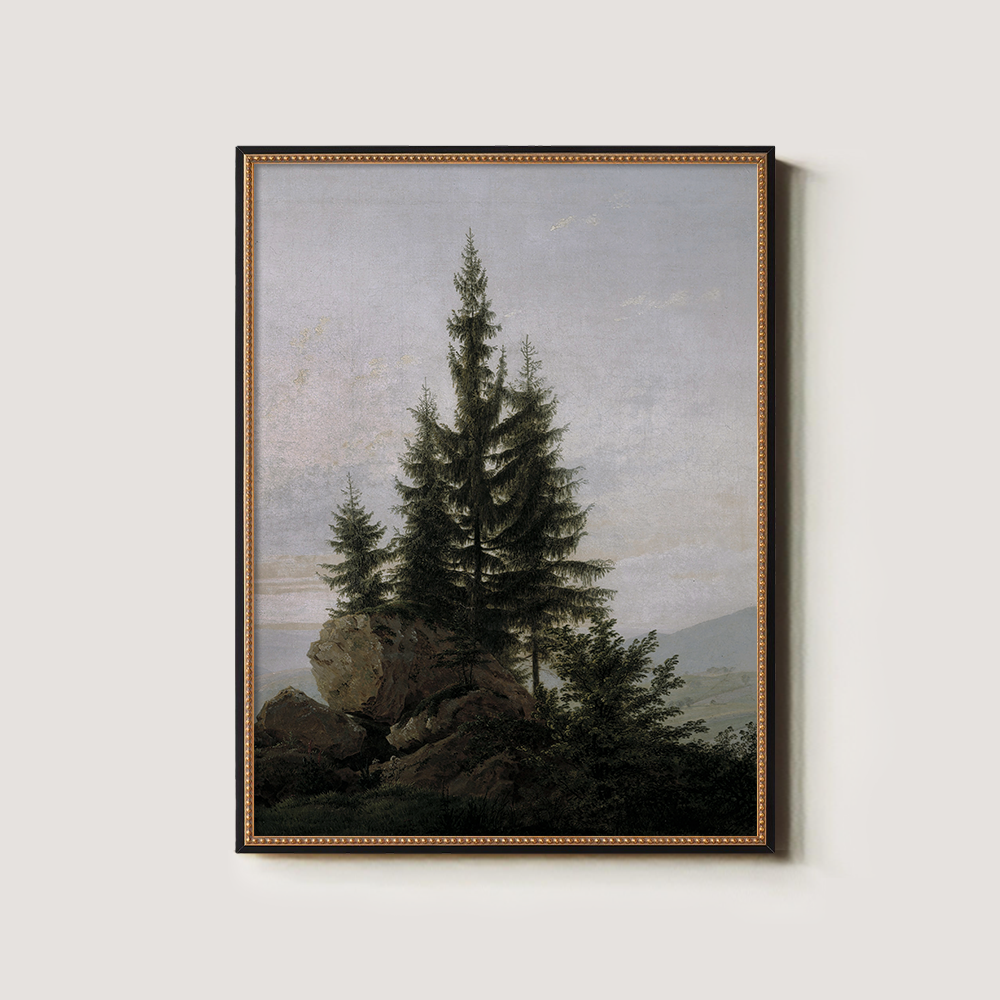 Evergreen Tree On A Rocky Shore 1216-1620-1824