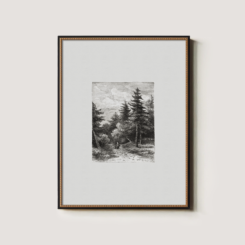 Enshrouded Pine Thicket Etching Reverie 1216-1620-1824