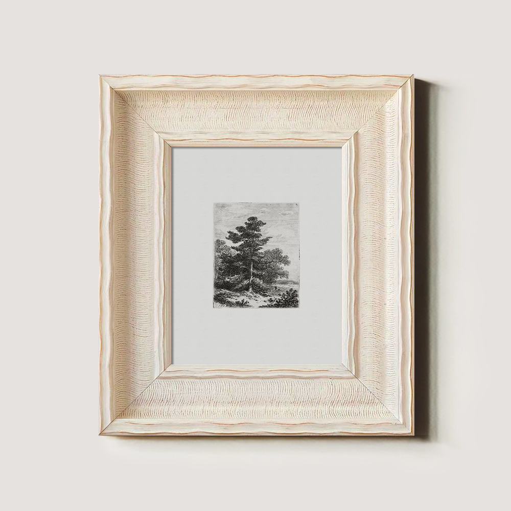 Solitary Pine Sentinel Etching Reverie