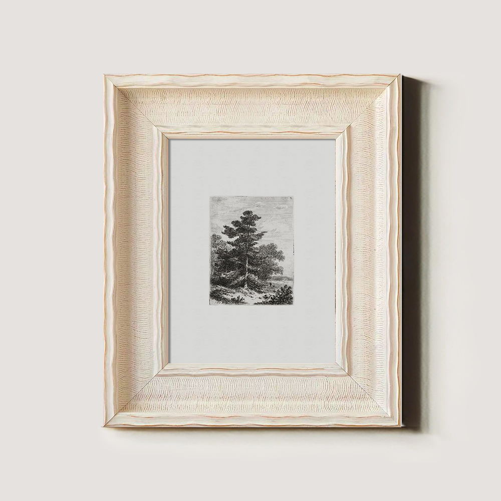 Solitary Pine Sentinel Etching Reverie