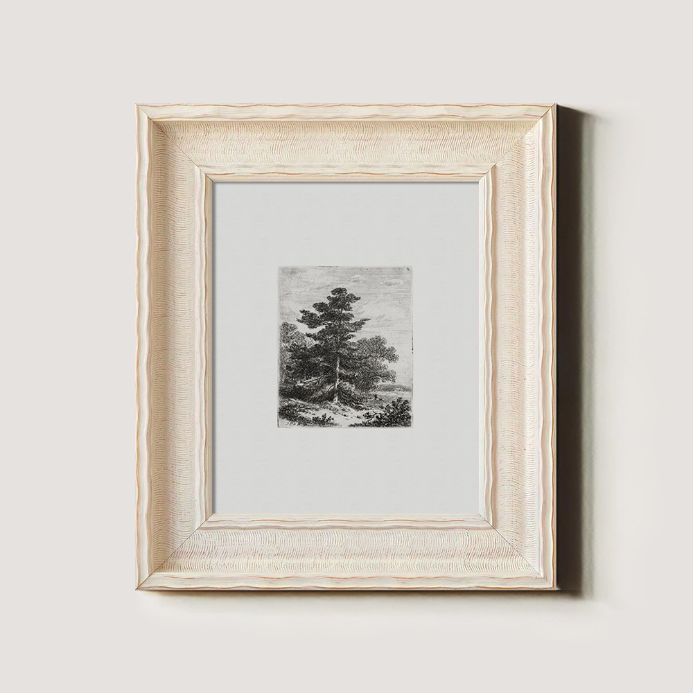 Solitary Pine Sentinel Etching Reverie
