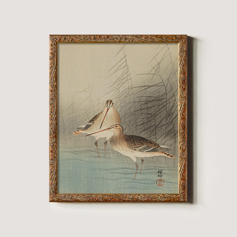 Sandpipers in the Reeds - Avian Kacho-ga Study