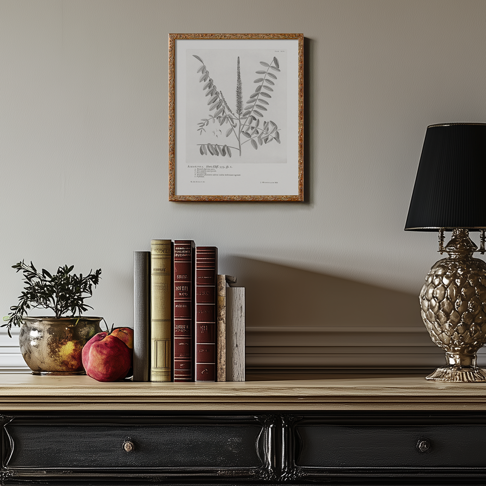 Vintage Amorpha Fruticosa Botanical Etching