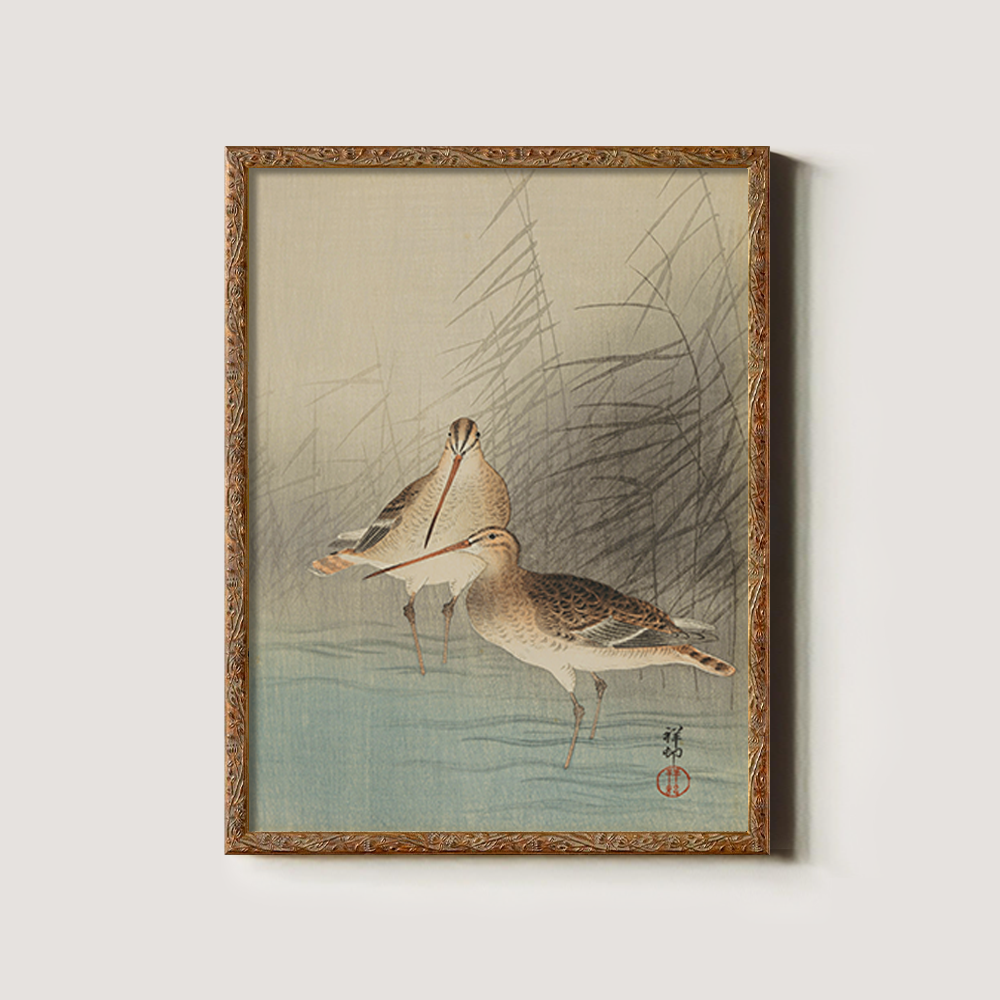 Sandpipers in the Reeds - Avian Kacho-ga Study