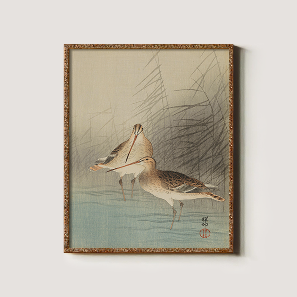 Sandpipers in the Reeds - Avian Kacho-ga Study