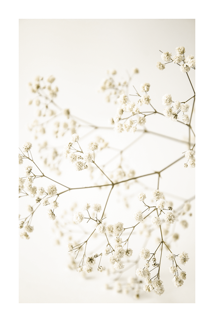 Cute Flower Detail Poster