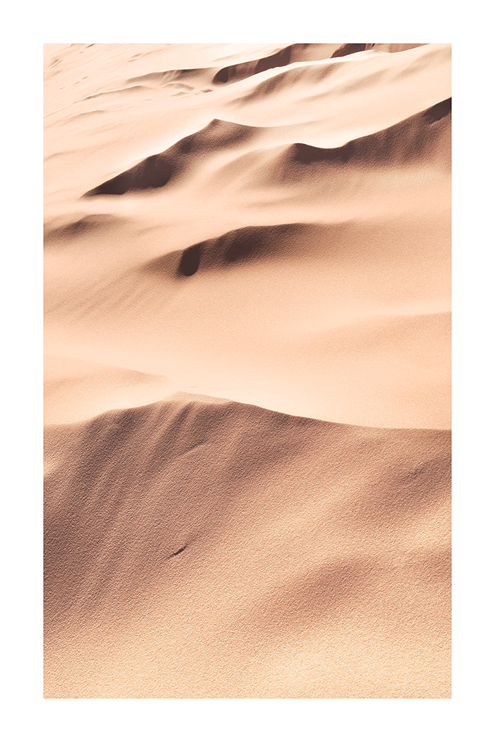 Desert Close Up Poster