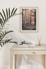 Autumn Forest Poster