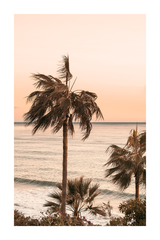 Seaside Coconut Tree Poster