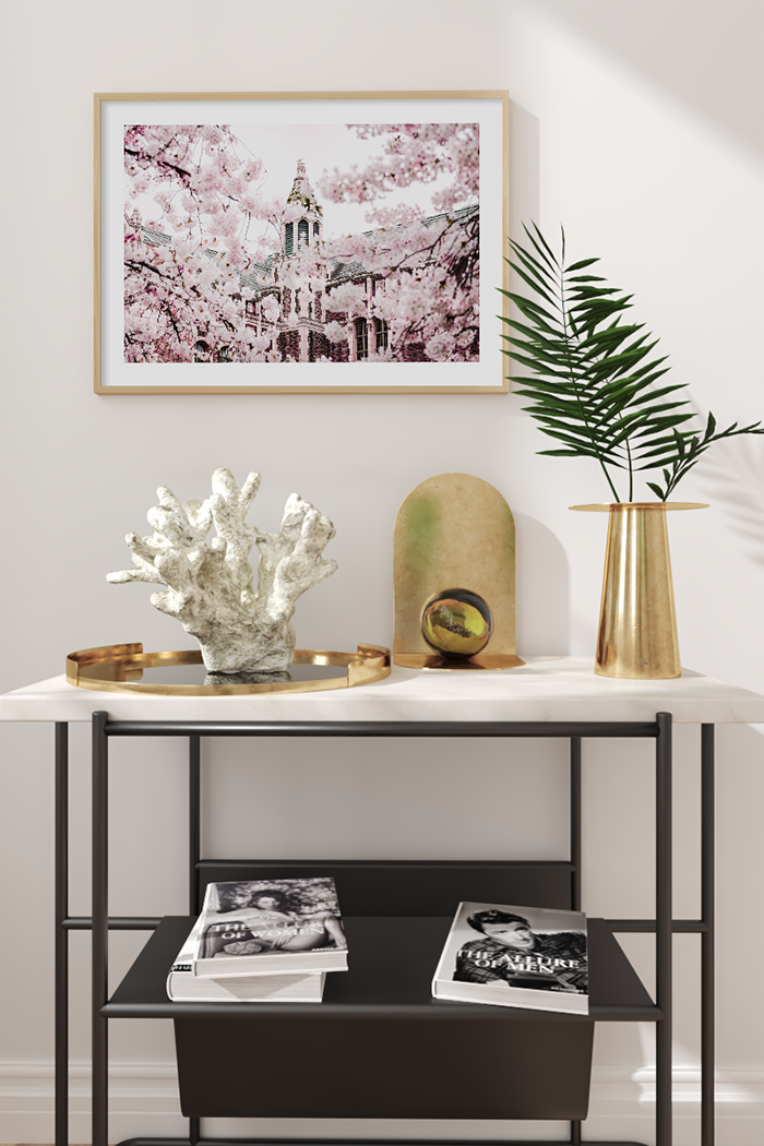 Cherry Blossoms Close Up Poster
