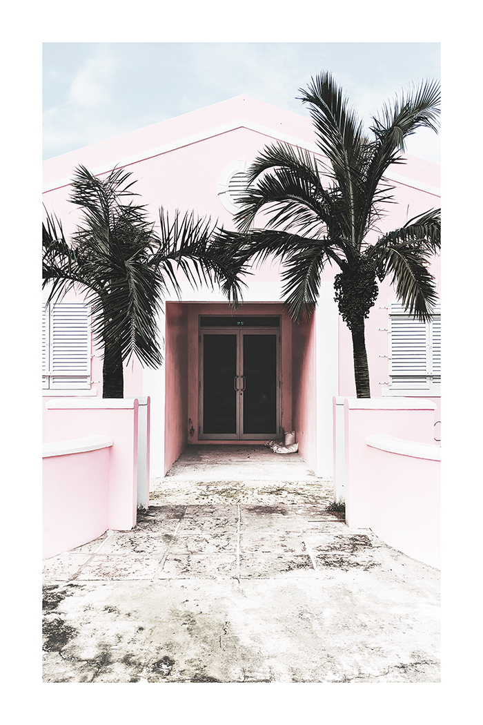 Pink House Behind Tree Poster