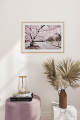 Cherry Tree in the Park Poster
