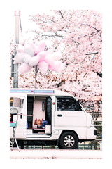 Pink Bus Under the Cherry Tree Poster