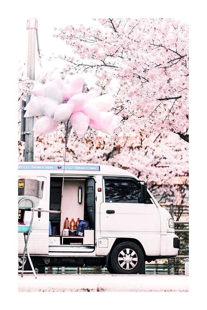 Pink Bus Under the Cherry Tree Poster