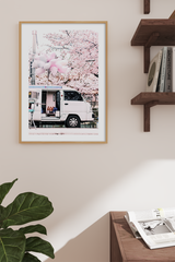 Pink Bus Under the Cherry Tree Poster