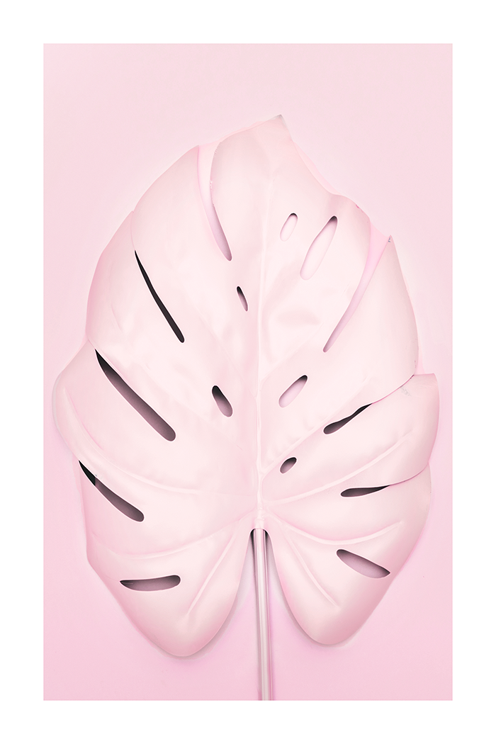 Pink Monstera Poster