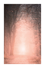 Dreamy Forest Poster