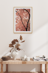 Maple Tree Close Up Poster