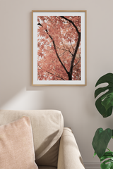 Maple Tree Close Up Poster