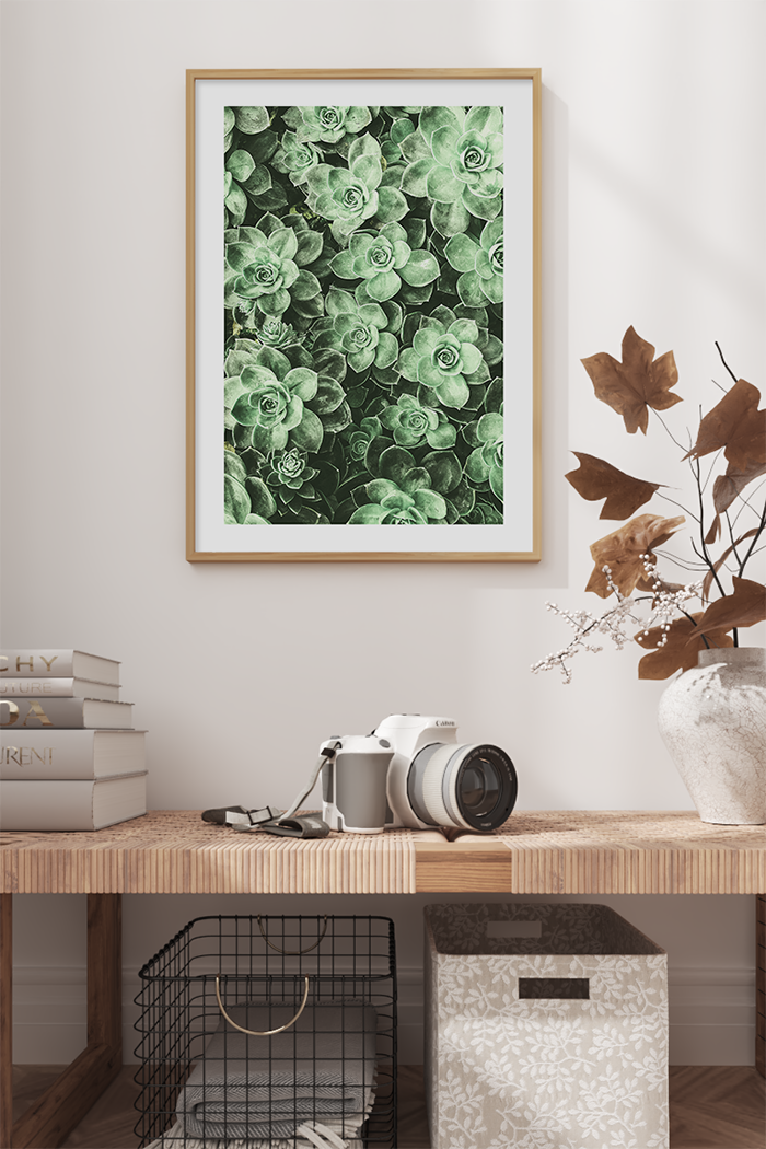Succulent Photo Poster No.3