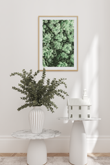 Succulent Photo Poster No.3