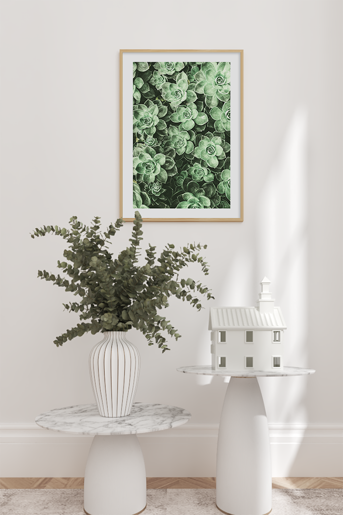 Succulent Photo Poster No.3