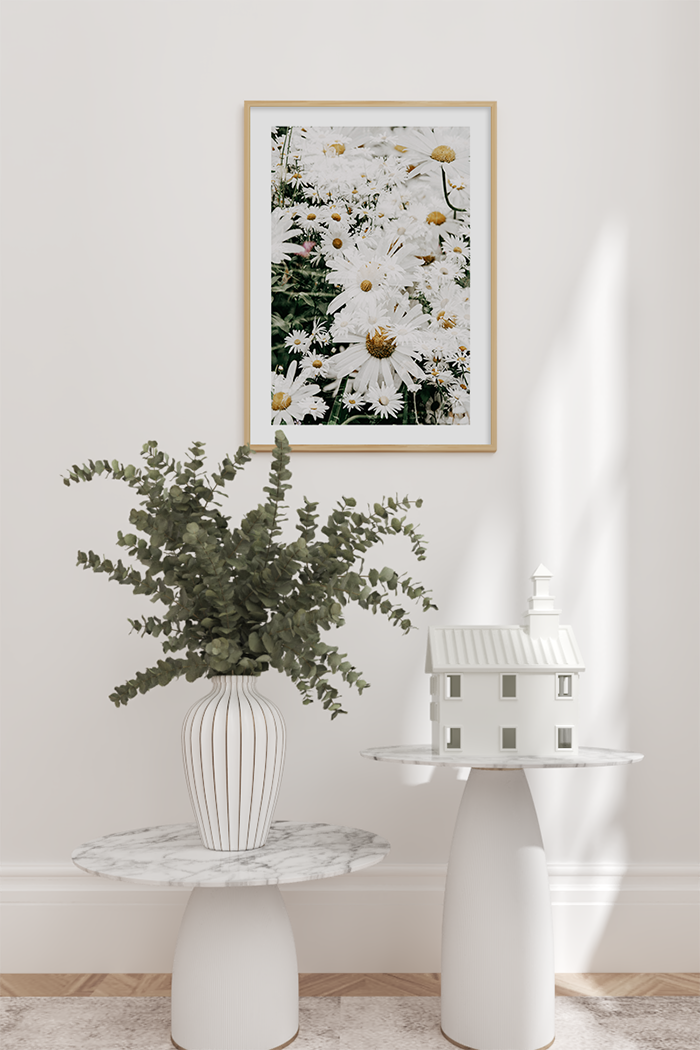 Daisy Blossom Poster