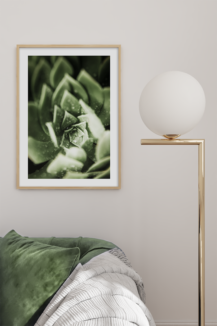 Succulent Close Up Poster No.2