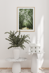 Bamboo Forest Poster