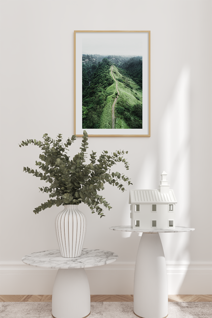 Ridge Path Poster