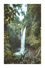 Waterfall in the Wild Poster