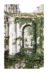 Pillar Covered by Plant Poster