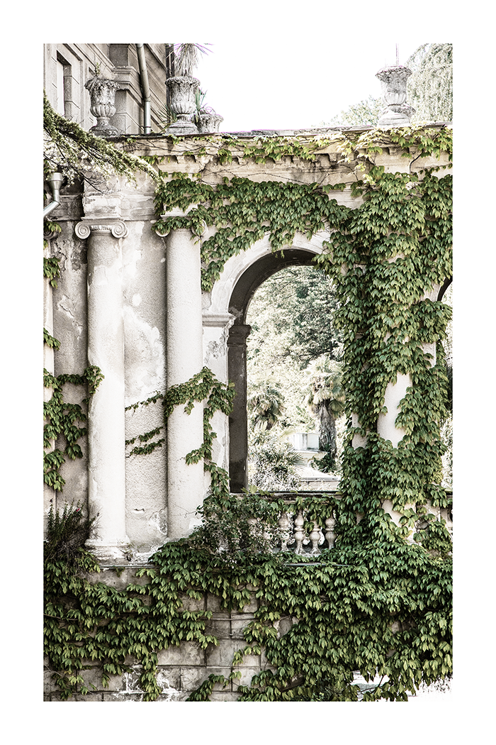 Pillar Covered by Plant Poster