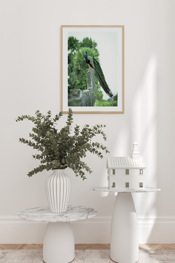 Peacock Poster