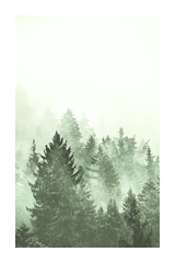 Misty Forest Poster No.3