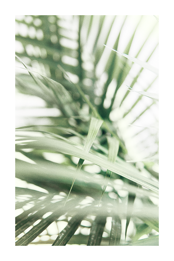 Green Botanical Leave in Detail Poster