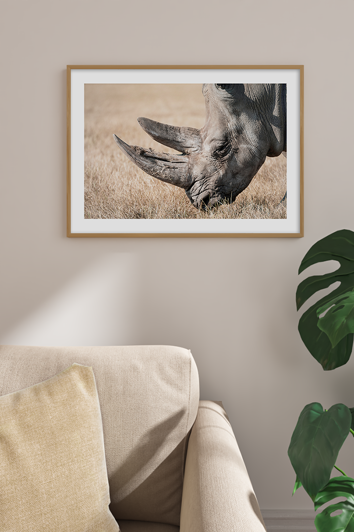 Rhino Close Up Poster