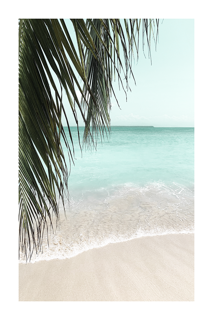Seaside Palm Leaf Close Up Poster