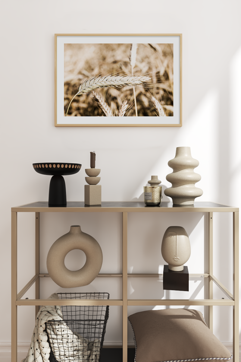 Ripe Paddy in the Field Poster