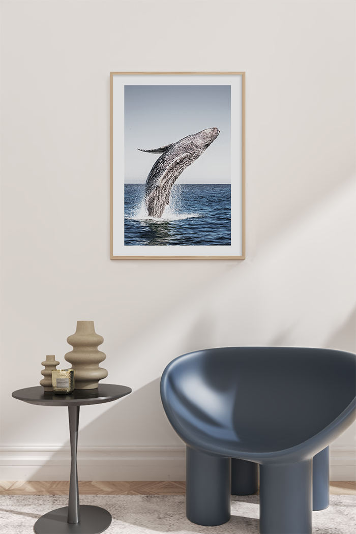 Dolphin Jumping out the Sea Poster