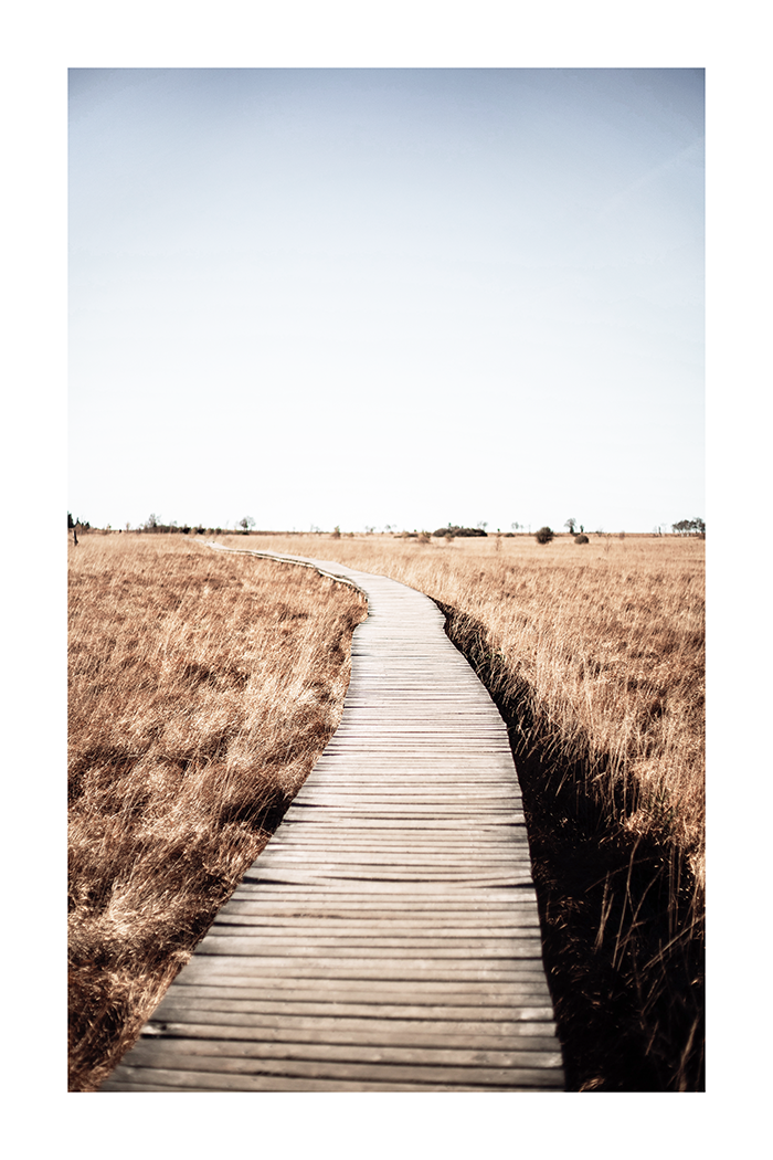 A Winding Path Poster